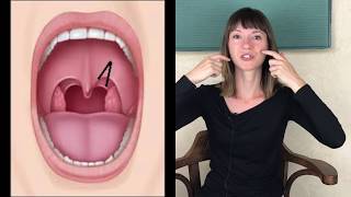 How to Improve the Swallow Reflex [upl. by Li]