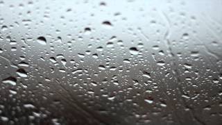 Rainy Day Background Video  No Sound [upl. by Aifoz]