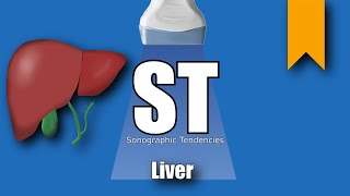 Liver Ultrasound Protocol [upl. by Earaj483]