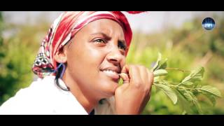 Negasi Tesfamariam  Segom  New Eritrean Music Video 2017 [upl. by Bette-Ann]