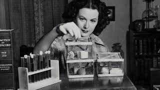 Hedy Lamarr and the Invention of Spread Spectrum Technology Breaking Barriers in History [upl. by Mera]