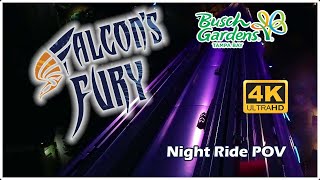 Falcons Fury Nighttime POV  Busch Gardens Tampa 4K 60FPS [upl. by Heydon]