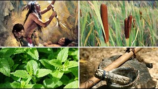 Herbal Medicines Decoded How Medicinal Plants Soothe and Cure [upl. by Hachmin392]