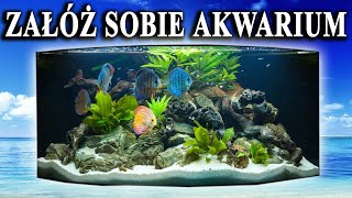 Początkujący 🐠 Propozycje RYB do Pierwszego AKWARIUM [upl. by Niddala]