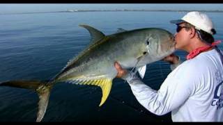 Beach Tarpon Fishing and Jack Crevalle off Satellite Beach Florida [upl. by Brianne]