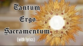 Tantum ergo Sacramentum lyrics Holy Hour HymnEucharistic Adoration Chant Catholic [upl. by Tteve]