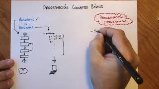 Programación Conceptos Básicos [upl. by Toy585]