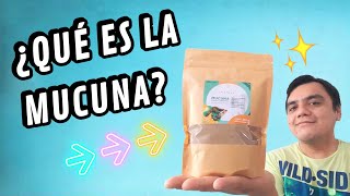 Mucuna ¿Qué es la mucuna🚀❤ Beneficios de la mucuna ¿Para qué sirve Mucuna RecetasConMucuna [upl. by Jerrilee]