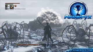 Bloodborne  Great One Rom the Vacuous Spider Boss Fight Boss 8 [upl. by Finella626]