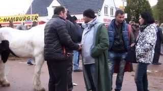 Paardenmarkt Hedel 2014 [upl. by Cung]