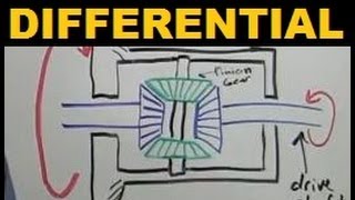 Differentials  Explained [upl. by Fredie]