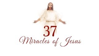 37 MIRACLES OF JESUS [upl. by Nhguaval]