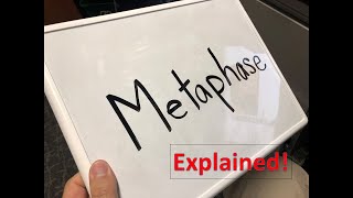 Metaphase explained [upl. by Isolda]