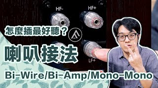 喇叭怎插最好聽？BiWireBiAmpMonoMono接法徹底比較【CC字幕＋4K】 [upl. by Nikki]