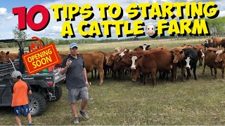 Starting a Beef Cattle Farm 10 TIPS for beginners to start a Cattle Ranch [upl. by Billmyre]