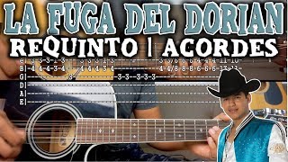 Tutorial  La fuga del dorian  Ariel Camacho  Requinto  Acordes  TABS [upl. by Ybbor]