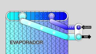 Función del Evaporador Animación 2D [upl. by Dreda]