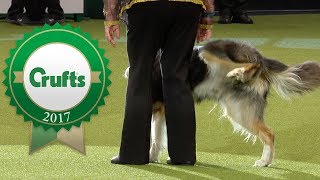 Oh Dear Crufts 2017 Fails and Bloopers [upl. by Anora830]