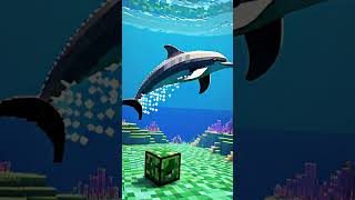 ELI5 How Do Dolphins Use Echolocation [upl. by Mia]