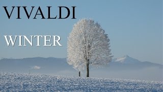 VIVALDI  The Four Seasons Winter quotLinvernoquot FULL  Classical Music HD [upl. by Gipps]