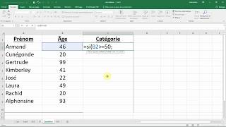 Comment utiliser la fonction SI  condition à 2 choix  Cours facile EXCEL [upl. by Romelle]