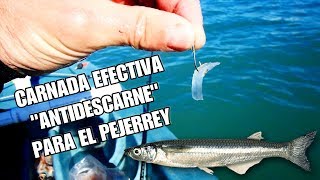 CARNADA EFECTIVA quotANTIDESCARNEquot PARA PESCAR PEJERREY [upl. by Itnava]