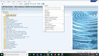 Configurações básicas SAP [upl. by Venetis]