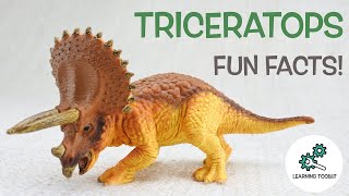 TRICERATOPS FACTS  Fun amp Educational  Dinosaurs For Kids  Best Dinosaur Facts [upl. by Dorsman623]