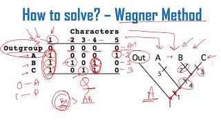 Cladogram analysis Problems and solutions for CSIR NET exam [upl. by Imoen446]