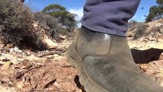 Gold Prospecting Western Australia 2021 pt 2 [upl. by Zug216]