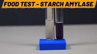 Food Test  Starch Amylase  ThinkTac [upl. by Aelegna]