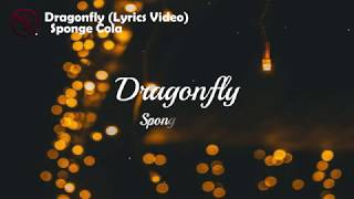 Dragonfly Lyrics Video Sponge Cola [upl. by Lundt598]