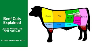 Understanding Beef Cuts [upl. by Ahen]