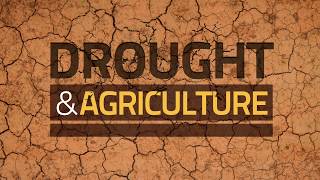 Drought and Agriculture  Predict Plan and Prepare Stop Drought Becoming Famine [upl. by Wende]