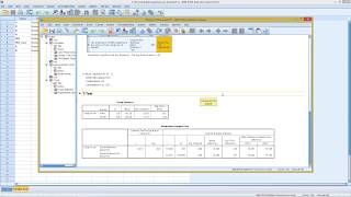 SPSS  Homogeneity Test [upl. by Amles]