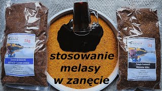 Melasa i jej stosowanie w zanętach Na jakie ryby Jak dużo Jak ją wprowadzić w zanętę Vlog 005 [upl. by Gillette179]