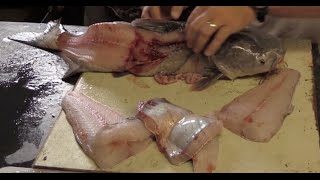 Learn how to fillet a catfish  Detailed Tips and Techniques [upl. by Bogoch558]