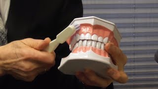 How to Brush Your Teeth With Gum Recession [upl. by Rolecnahc]