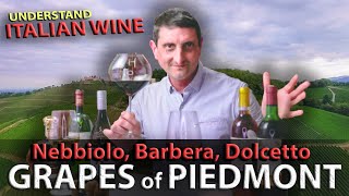 Piedmonts Wine TRILOGY Nebbiolo Barbera Dolcetto  Italian Wine 101 [upl. by Ajaj]