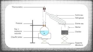 Hydrodistillation  une technique dextraction [upl. by Niwrud]