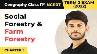 Class 11 Geography Chapter 5  Social Forestry and Farm Forestry  Natural Vegetation [upl. by Gosselin]