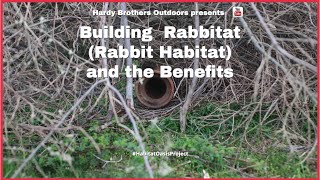 26 Building and Managing Rabbit Habitat Rabbitat on the Habitat Oasis Project in SE Ohio [upl. by Nollahs]