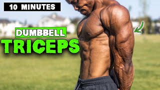 10 MINUTE LIGHTWEIGHT DUMBBELL TRICEP WORKOUT [upl. by Cornew752]