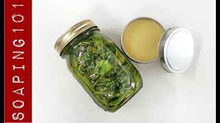 Making Jewelweed Salve and Soap l Soaping101 [upl. by Cleve268]