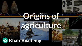 Origins of agriculture  World History  Khan Academy [upl. by Yrok12]