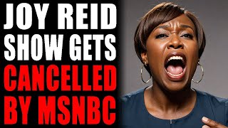 MSNBC Ends Joy Reid Show During Black History Month [upl. by Sola]