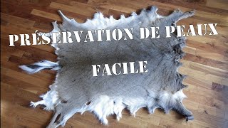 Préservation des peaux de chevreuils [upl. by Myrtle]