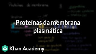 Proteínas da membrana plasmática [upl. by Stormi]