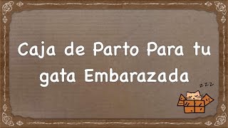 Como Hacer Una Caja De Parto Para Gata Embarazada [upl. by Miuqaoj]