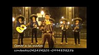 CANTO A LA MADRE MARIACHI  VASCO ANTARES [upl. by Yssirc]